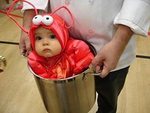 lobster baby