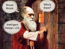 DarwinLOL