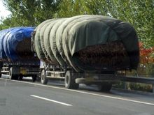 25 overloaded trucks.jpg