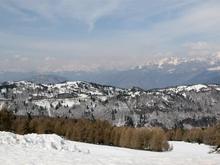 IMG_0155 (Large).jpg