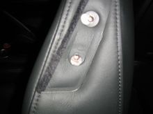 Seat Belt Squeak