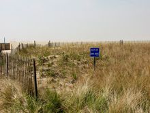 IMG_2963 dunes.jpg