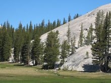 09 Tuolomne Meadows.jpg