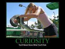 curiosity.jpg