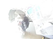 DSC00250.JPG