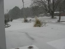snow2.jpg