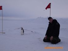 me and my penguin