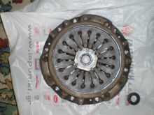 P4020009.JPG
