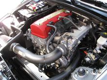 IMG_1361.jpg