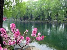 Beijing summer palace lake x.jpg