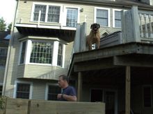 deck_footer 111.jpg