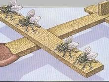 fly07.gif