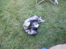 DSCN0405.JPG