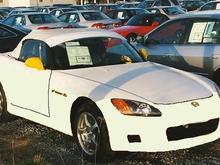 yellow gpw.JPG