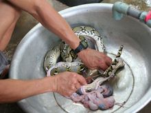 IMG_9320 (900 x 600).jpg