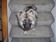 DSCN0476.JPG