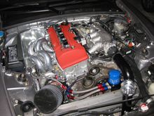 IMG_3160 copy.jpg