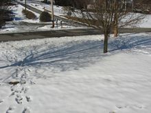 IMG_1675.JPG