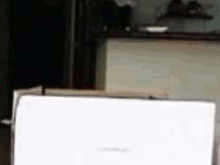 Cat jump