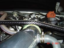 cf strut 004.jpg