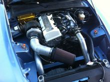 IMG 0934[1]