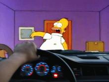 homer.jpg
