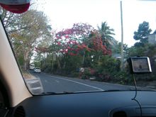 DSCF1535