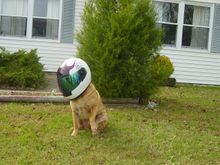 Navigator.JPG