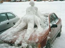 Winteris1.jpg