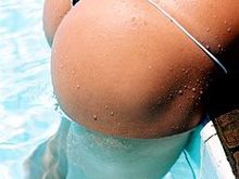 ass1485.jpg