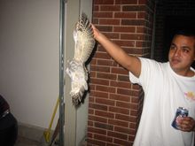 Picture 014.jpg