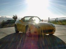 Sunny S.JPG