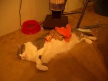 Picture 283.jpg