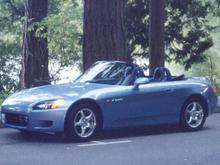 car in the trees.jpg