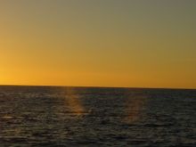 DSC00737.JPG
