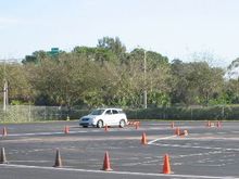IMG_3984.jpg