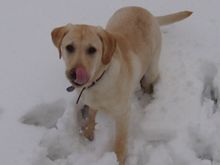 Maggie2-21-5.jpg