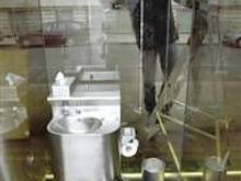 040217_insidetoilet_bcol_736a.standard.jpeg