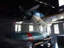 The Japanese Rex float plane