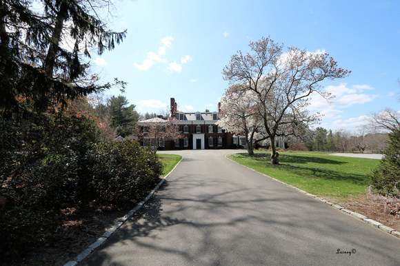 A long view up the driveway at this estate.