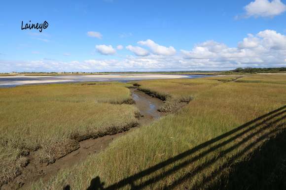 View from another boardwalk. Marshy area on the sides, gorgeous sand bars and beach in the distance.