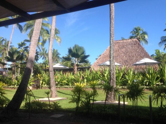 Morning.   I'm up before Cindy and just sitting on the back porch.  Pool,just a few feet away..