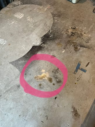 Small wet spot on my garage. I’ve noticed at my parking spot at work too.