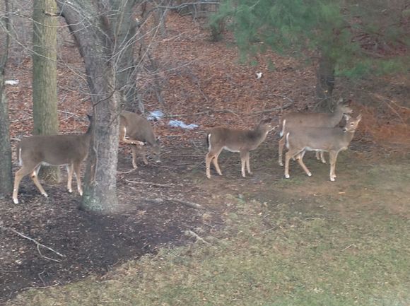 Taken with the iPad through a dirty window...
