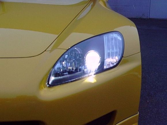 head light.jpg