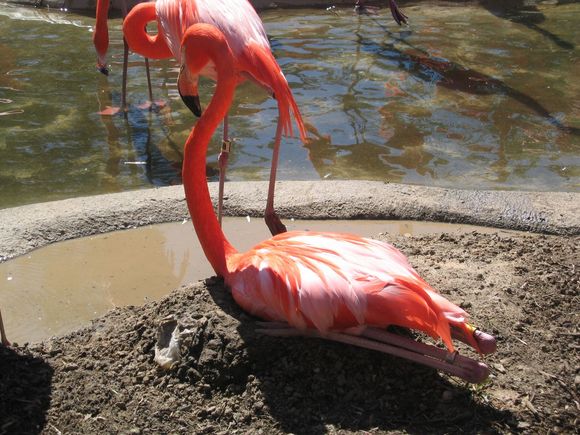 Zoo Trip 001.jpg