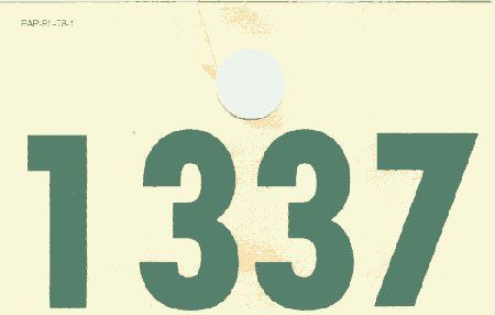 1337.jpg