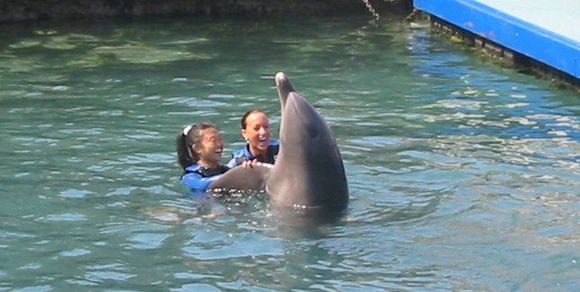 Dolphin dancing.jpg