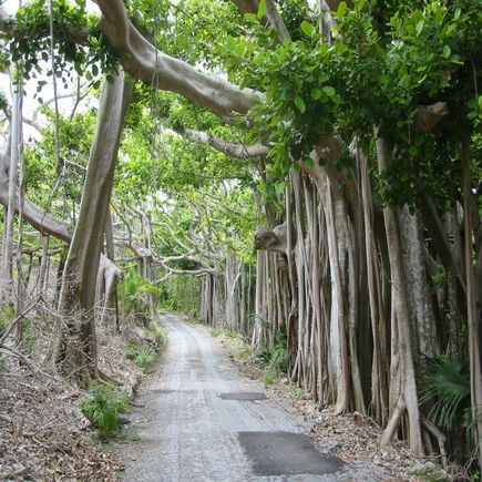 Neat driveway entrance.jpg
