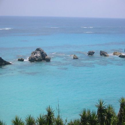 along the coast.jpg